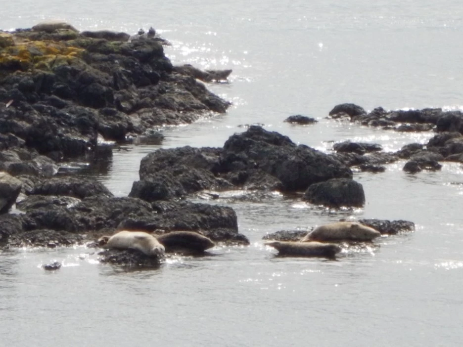 DSCN1432.JPG?type=w1