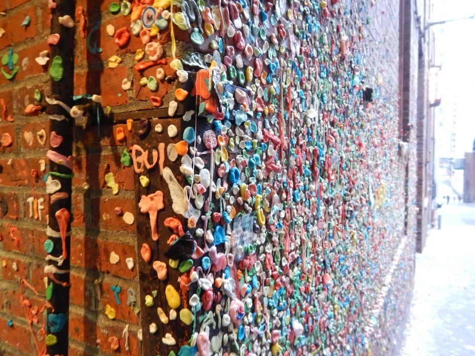 DSCN2356.JPG?type=w1