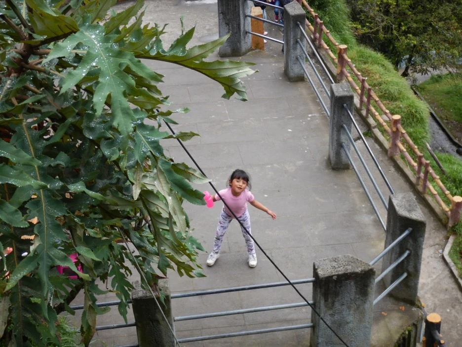 DSCN4240.JPG?type=w1