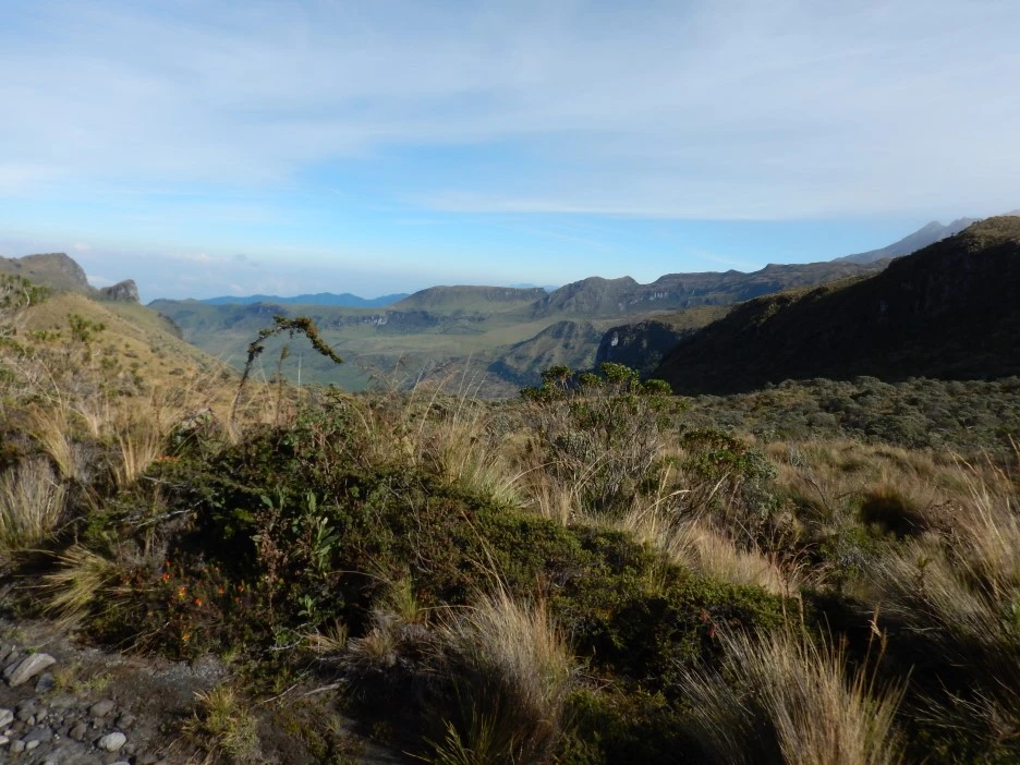 DSCN3398.JPG?type=w1