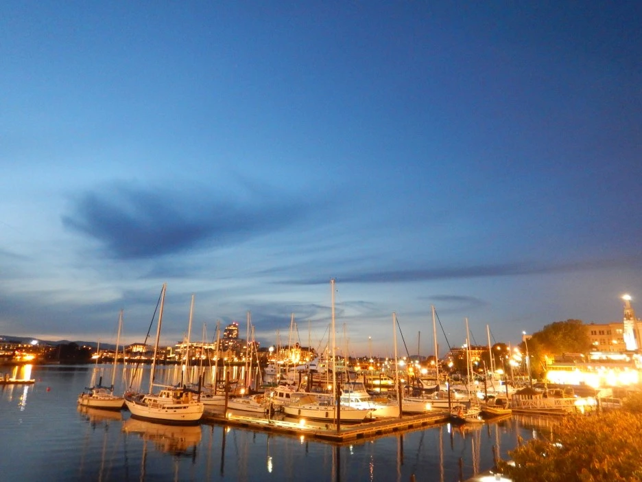 DSCN1707.JPG?type=w1