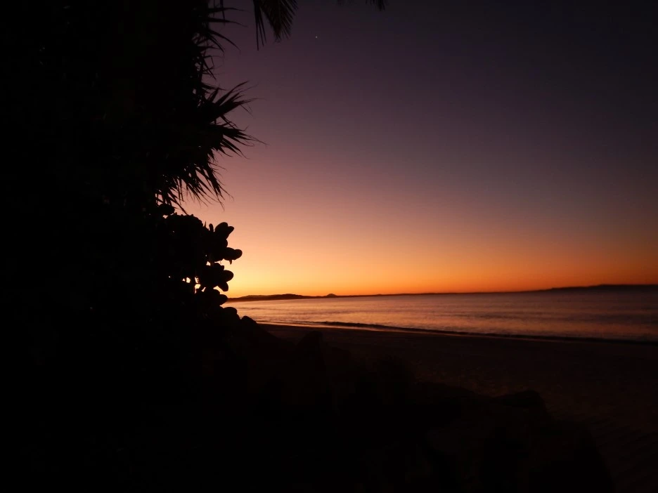 DSCN0538.JPG?type=w1