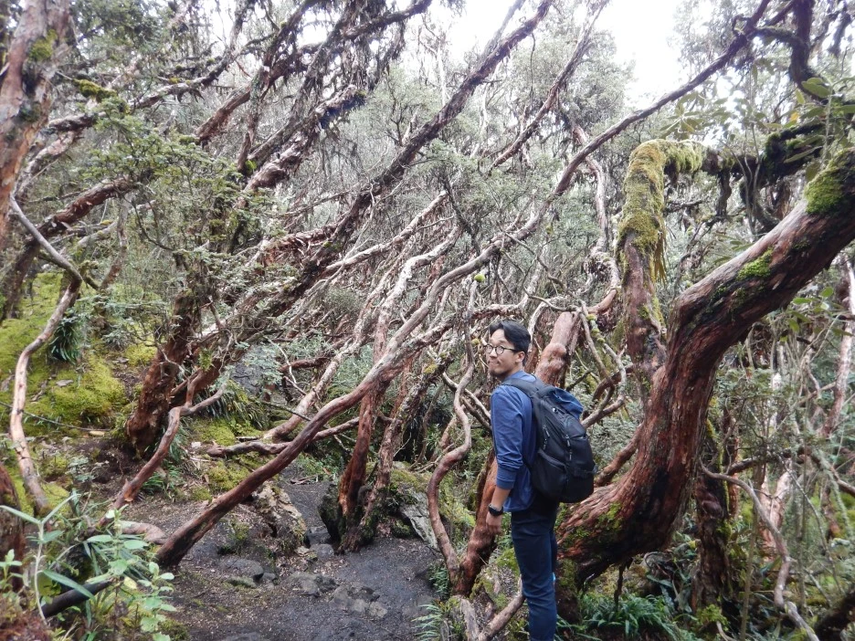 DSCN4846.JPG?type=w1