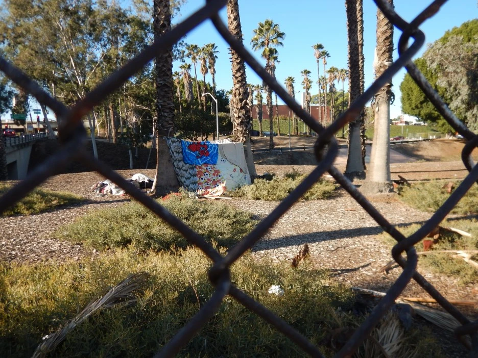 DSCN2493.JPG?type=w1