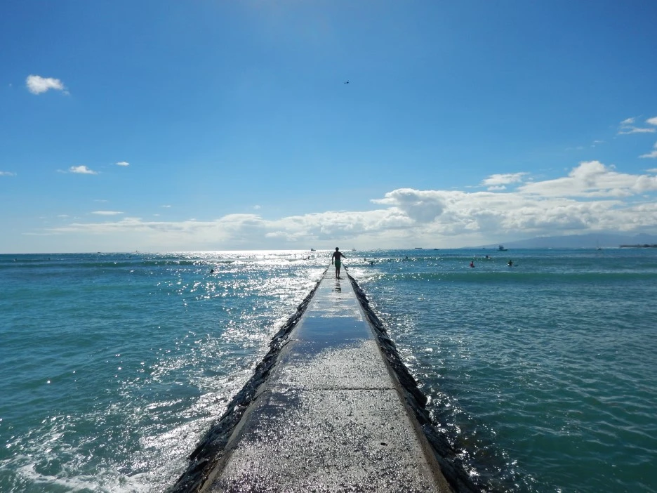 DSCN1183.JPG?type=w1