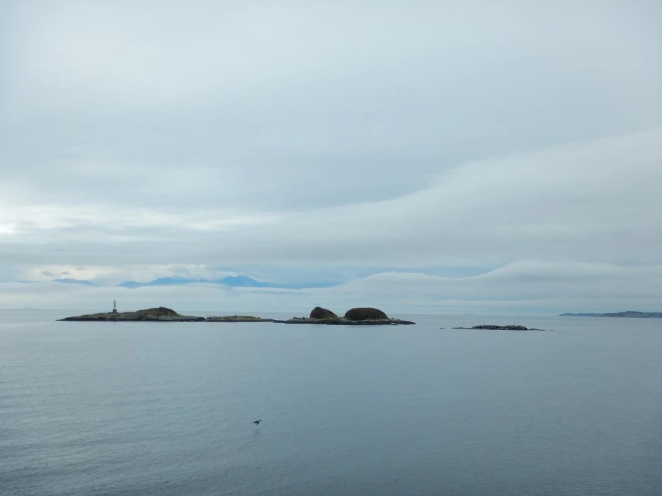 DSCN1421.JPG?type=w1