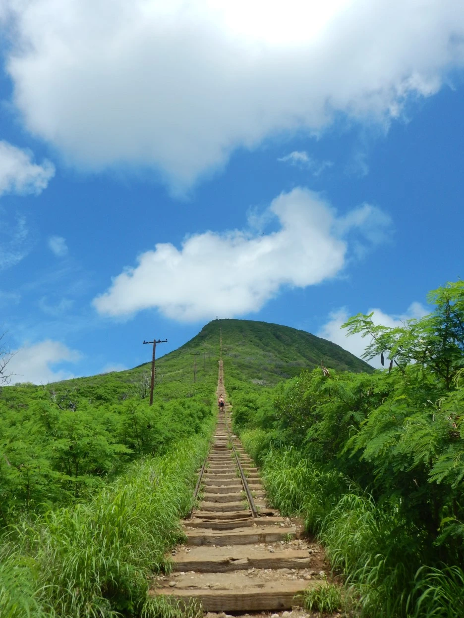 DSCN1240.JPG?type=w1