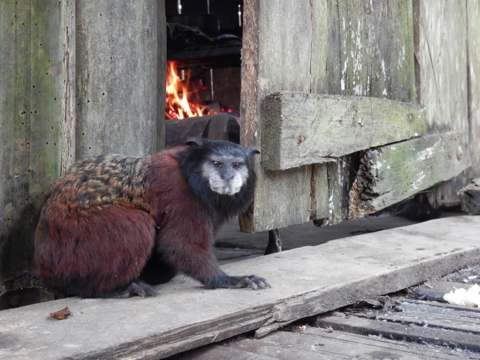 DSCN4705.JPG?type=w1