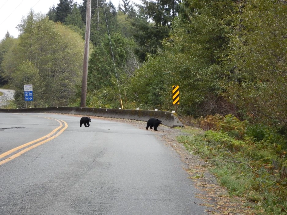 DSCN1677.JPG?type=w1