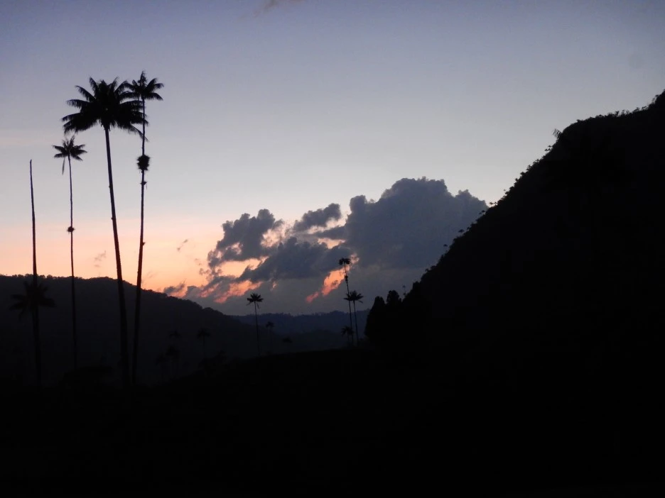 DSCN3997.JPG?type=w1