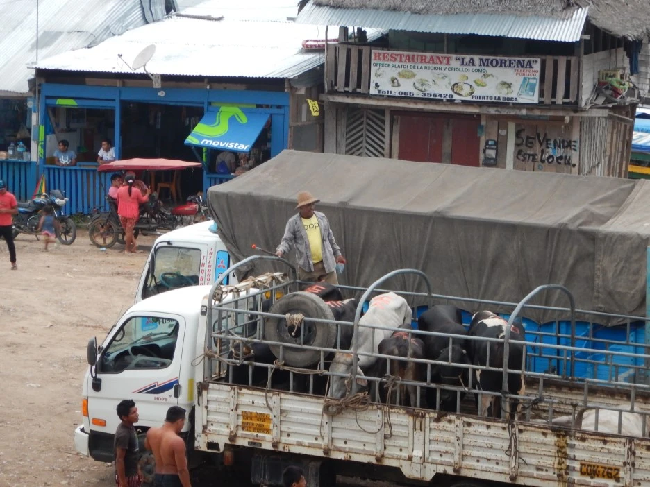 DSCN4973.JPG?type=w1