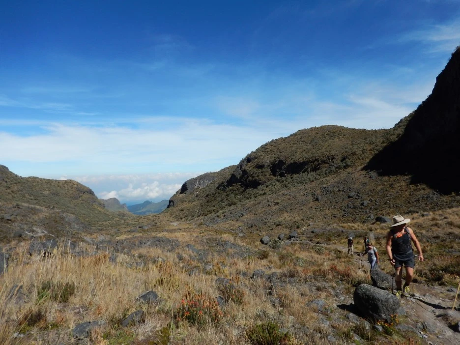 DSCN3423.JPG?type=w1