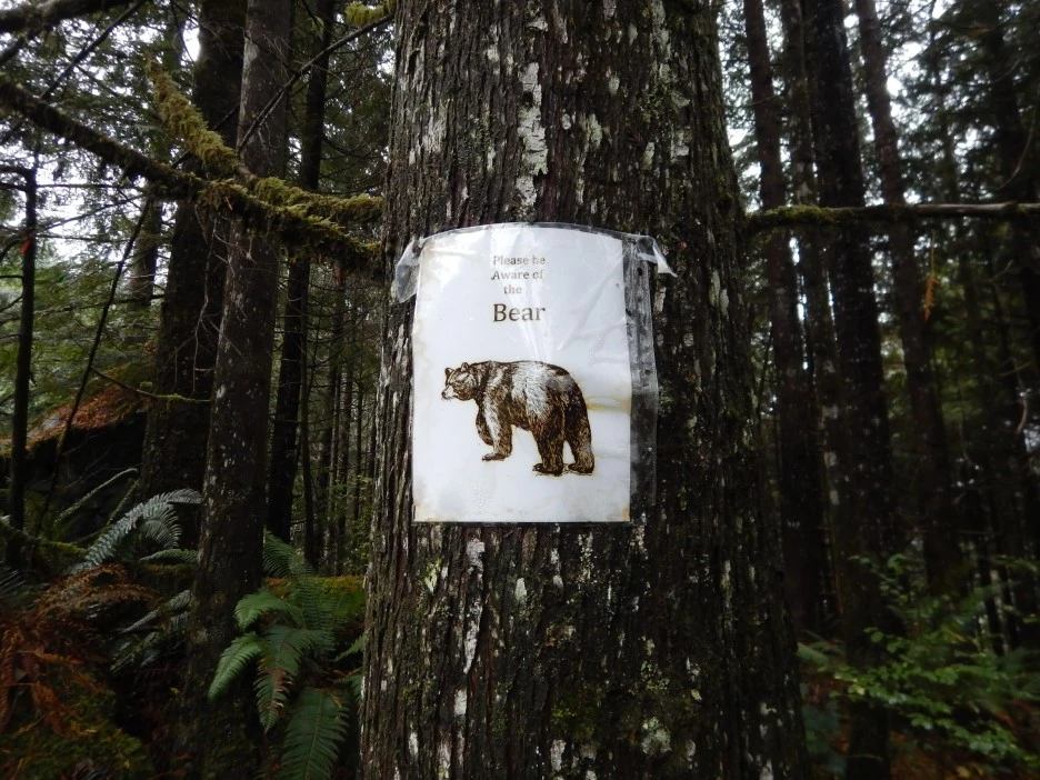 DSCN1656.JPG?type=w1