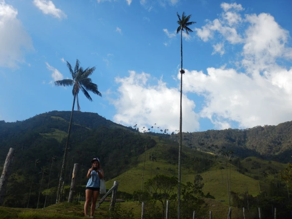 DSCN3966.JPG?type=w1