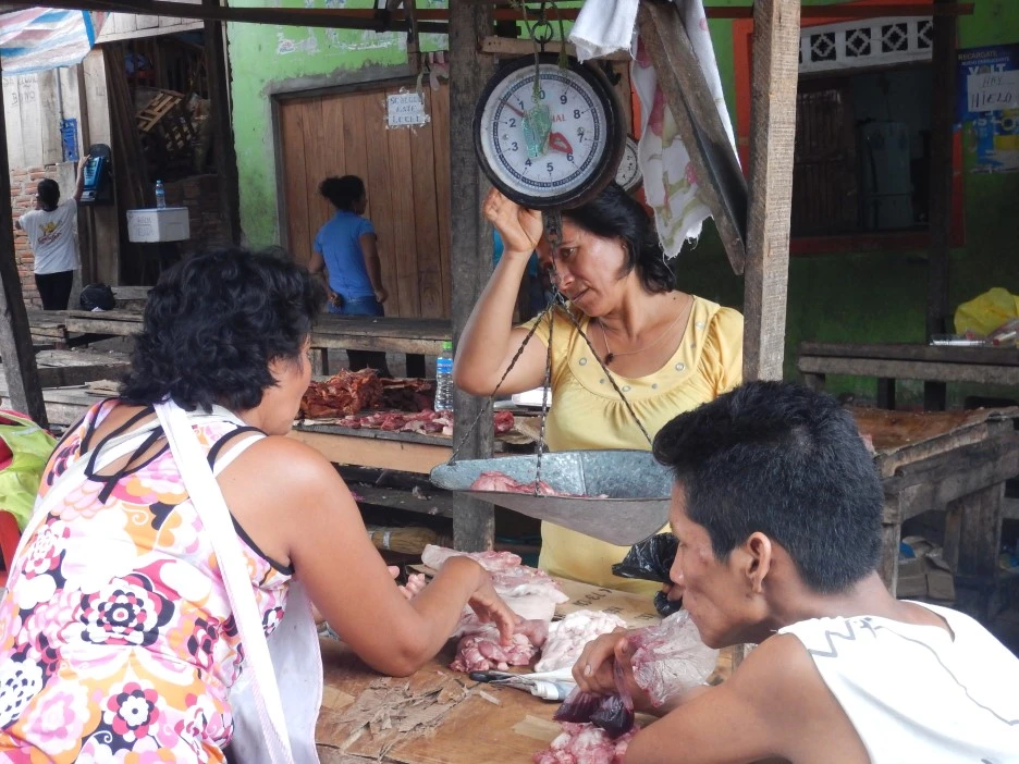 DSCN5309.JPG?type=w1