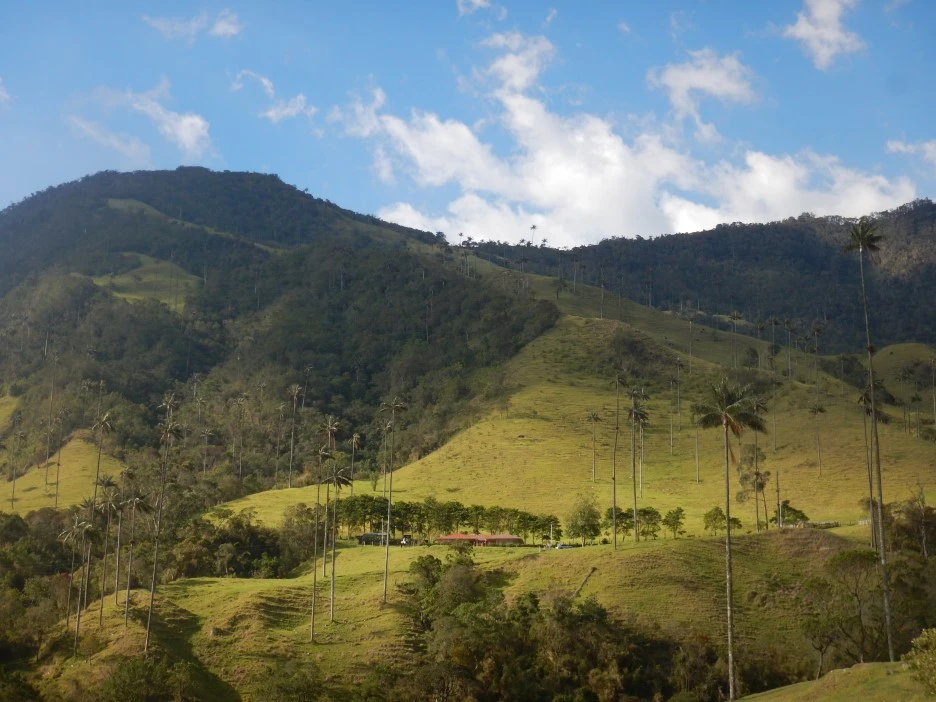 DSCN3960.JPG?type=w1