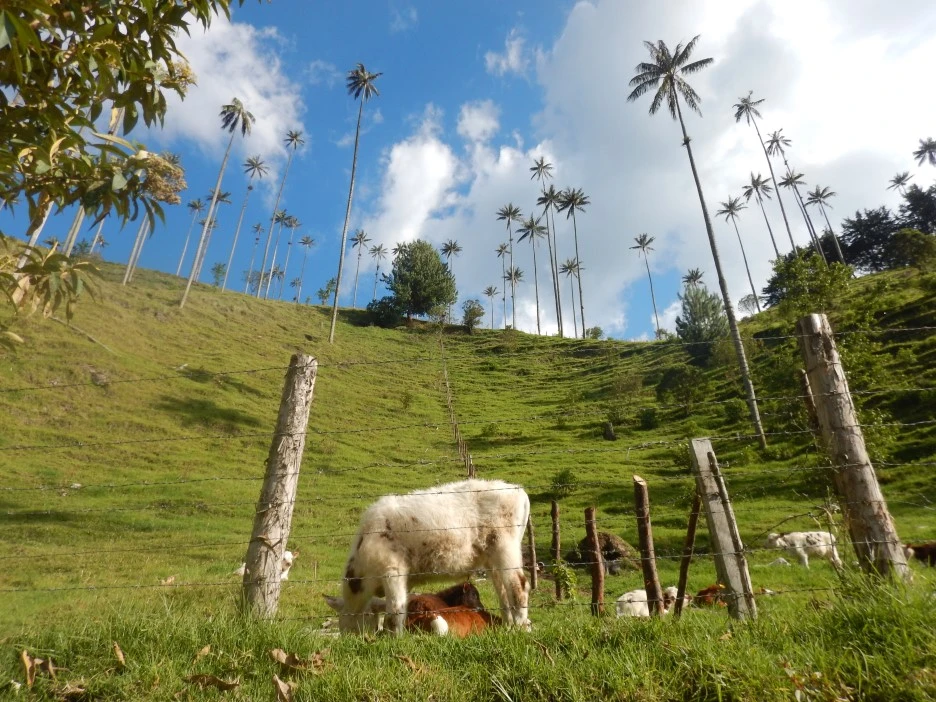 DSCN3952.JPG?type=w1