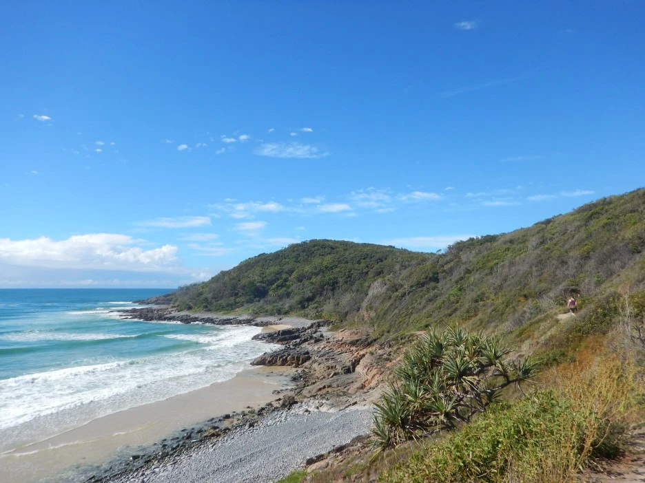 DSCN0404.JPG?type=w1