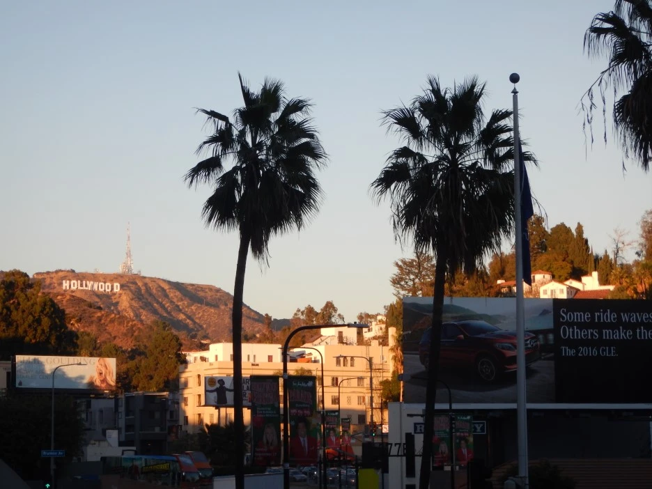 DSCN2516.JPG?type=w1