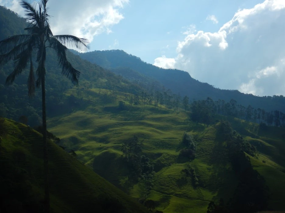 DSCN3947.JPG?type=w1