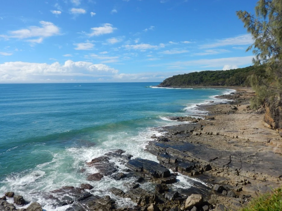 DSCN0397.JPG?type=w1