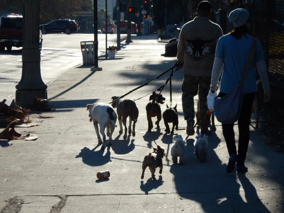 DSCN2494.JPG?type=w1