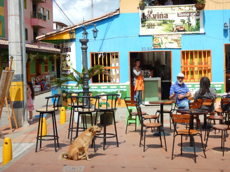 DSCN3174.JPG?type=w1