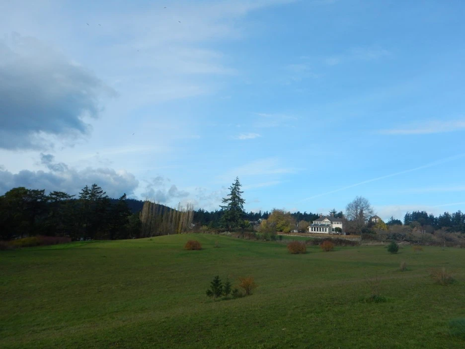 DSCN1890.JPG?type=w1