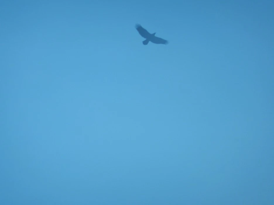 DSCN1947.JPG?type=w1