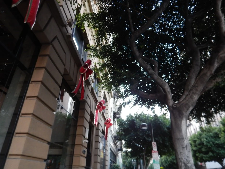 DSCN2464.JPG?type=w1