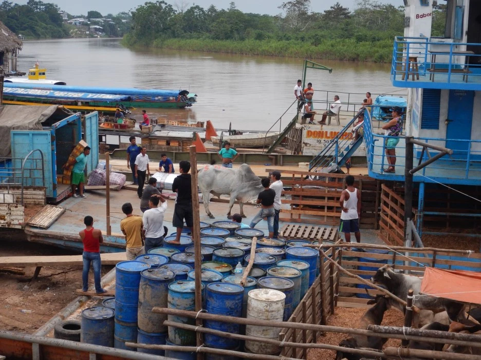 DSCN4974.JPG?type=w1