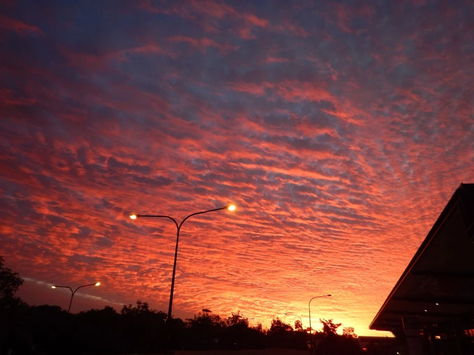 DSCN0532.JPG?type=w1