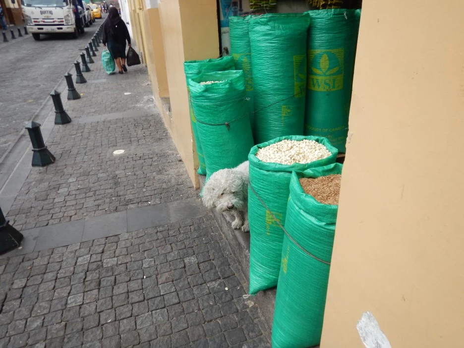 DSCN4277.JPG?type=w1