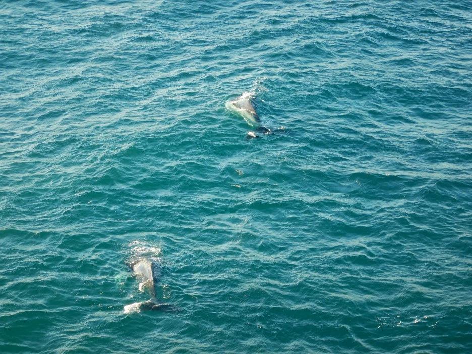 DSCN0769.JPG?type=w1