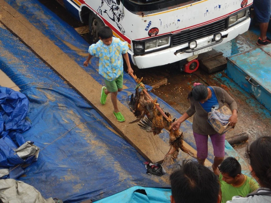 DSCN5050.JPG?type=w1