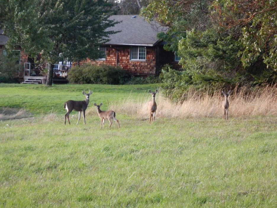 DSCN1394.JPG?type=w1