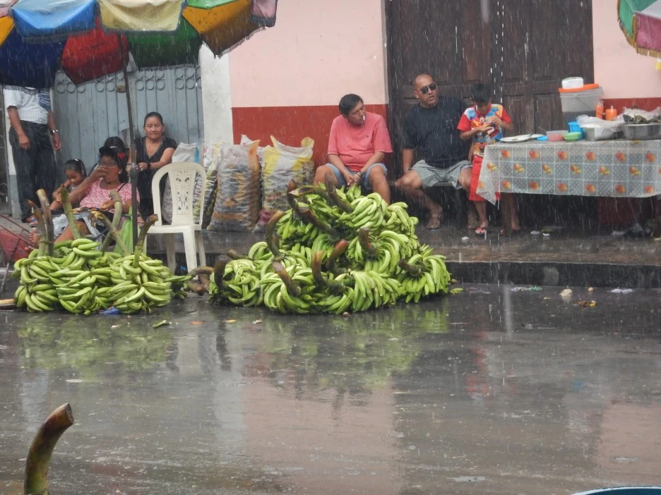 DSCN5316.JPG?type=w1