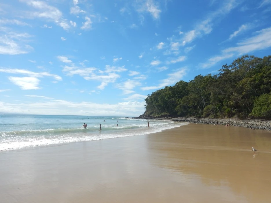 DSCN0382_-_Copy.JPG?type=w1