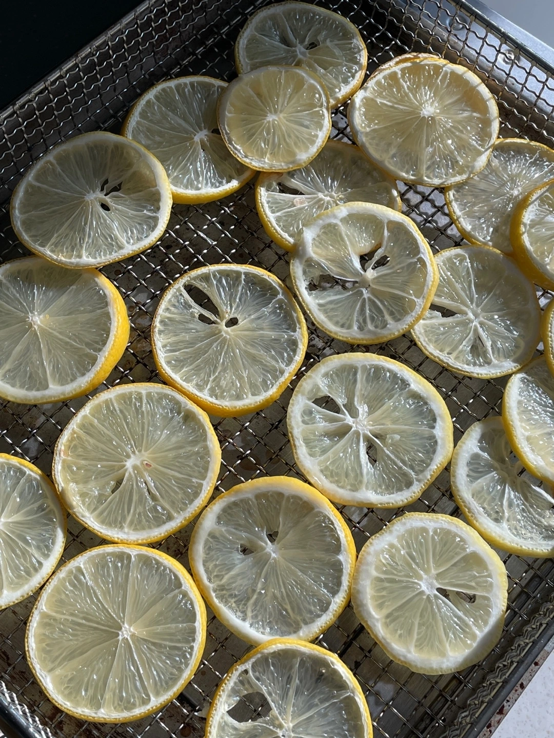 KakaoTalk_Photo_2024-02-15-22-18-54 009.jpeg