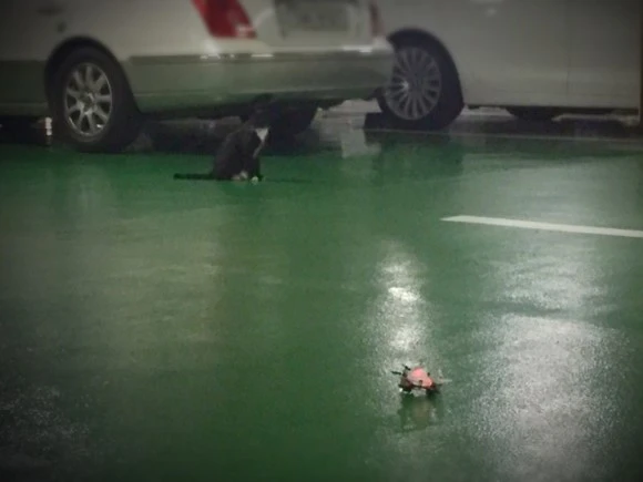 se3_image_1195665890.jpg?type=w580