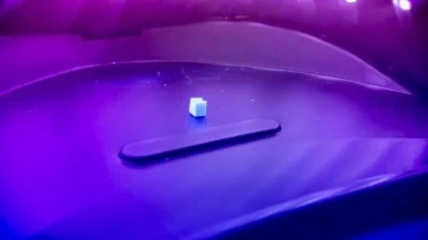 IMG_0891.jpg?type=w386