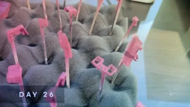 IMG%EF%BC%BF5610.jpg?type=w386