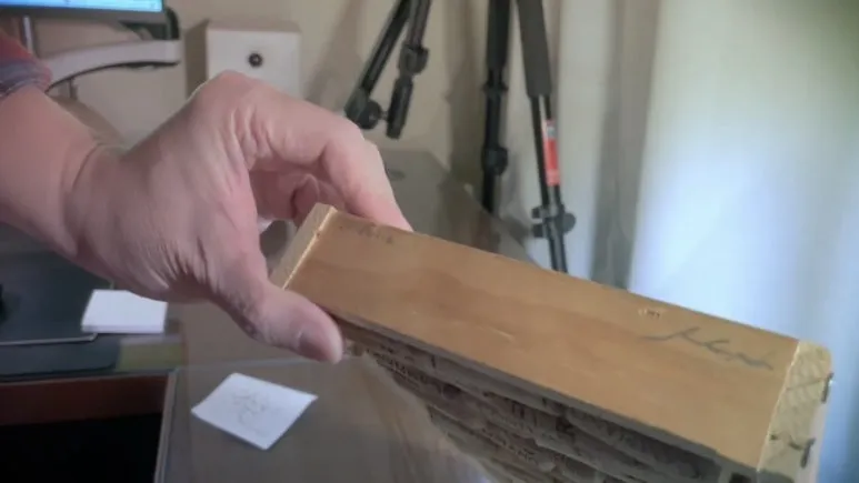 IMG_4295.jpg?type=w773