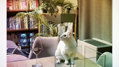 IMG_1200.jpg?type=w386