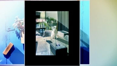 IMG_1205.jpg?type=w386