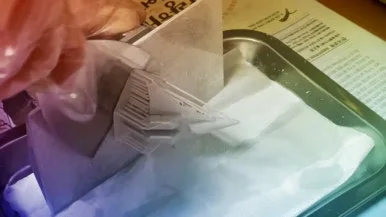 IMG_1665.jpg?type=w386