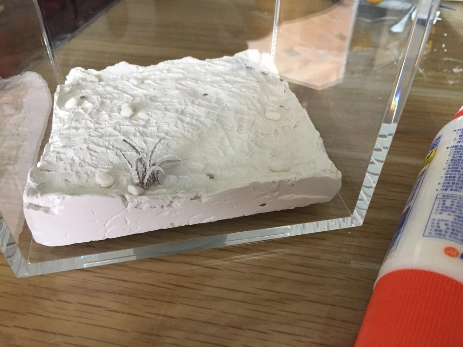 IMG_3208.JPG?type=w1