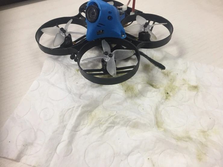 IMG_1667.JPG?type=w1