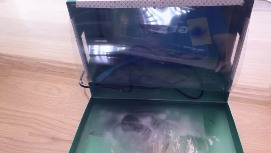 IMG_7603.jpg?type=w1