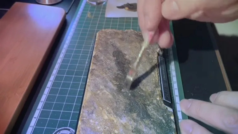 IMG_3575.jpg?type=w773